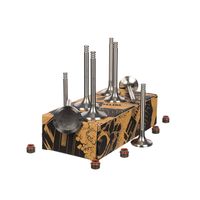 Thumbnail - Kleppenset, in-/uitlaatklep - VS0009 - ET ENGINETEAM