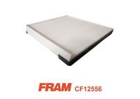 Филтър купе (поленов филтър)