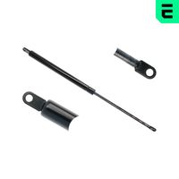 GASFEDER FLüGELTüR