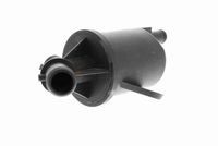 Article Picture