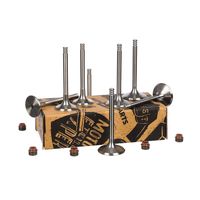 Thumbnail - Kleppenset, in-/uitlaatklep - VS0009 - ET ENGINETEAM