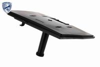 Article Picture