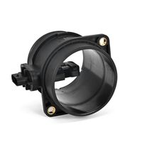 DELPHI Luchtmassameter 6