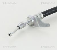 Article Picture