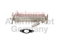 Kühler, Abgasrückführung