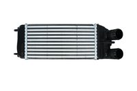 Intercooler, compresor KAMOKA, Cod: 7750016