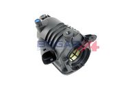 CAPAC CARCASA FILTRU AER