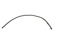 Schlauch, Leckkraftstoff