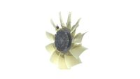 Thumbnail - Koelventilatorwiel - CFF507000P - MAHLE