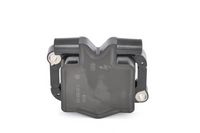 Article Picture