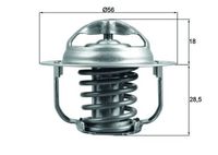 Thermostat, Kühlmittel