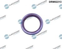 Семеринг, разпределителен вал DRM02213 LIZARTE