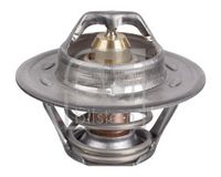 Thermostat, Kühlmittel