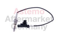 Sensor, Abgastemperatur