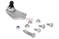 Trag-/Führungsgelenk