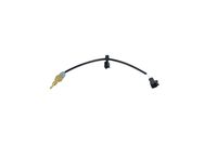 Sensor, Kühlmitteltemperatur