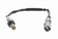 ламбда-сонда