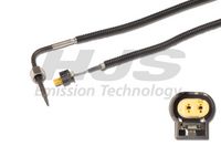 Sensor, Abgastemperatur