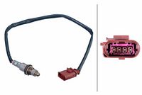 ламбда-сонда