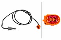 Sensor, Abgastemperatur
