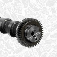 Thumbnail - Nokkenas - HV0365 - ET ENGINETEAM