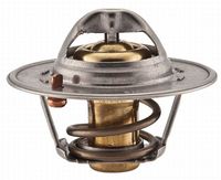 Thermostat, Kühlmittel