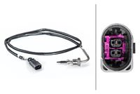 Sensor, Abgastemperatur