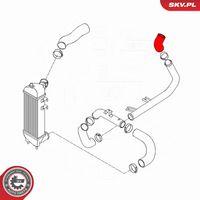 Article Picture