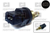 Sensor, Ansauglufttemperatur