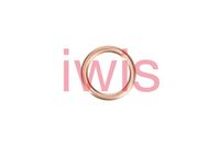 DICHTRING ÖLABLASSSCHRAUBE