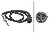 Sensor, Abgastemperatur
