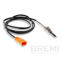 Sensor, Abgastemperatur