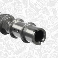 Thumbnail - Nokkenas - HV0394 - ET ENGINETEAM