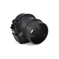 DELPHI Luchtmassameter 6