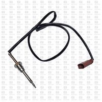 Sensor, Abgastemperatur