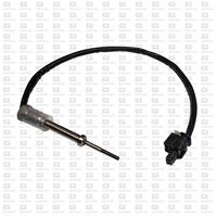 Sensor, Abgastemperatur
