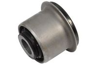 тампон, носач