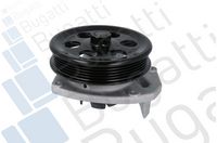 Wasserpumpe, Motorkühlung