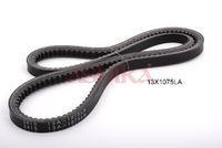 Curea transmisie ASHIKA, Cod: 109-13X1075