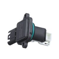 DELPHI Luchtmassameter 6