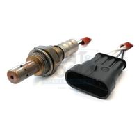 ламбда-сонда