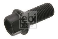 Wheel Bolt