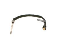 Sensor, Abgastemperatur