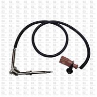 Sensor, Abgastemperatur