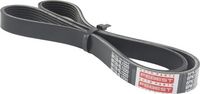 Curea transmisie cu caneluri FEBEST, Cod: 88128-6L1220