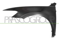 Aripa PRASCO, Cod: VG0563034