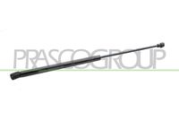 Amortizor portbagaj PRASCO, Cod: VG0219055