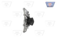 Wasserpumpe, Motorkühlung