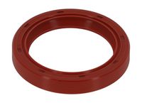 Wellendichtring, Kurbelwelle