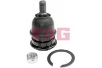 Trag-/Führungsgelenk